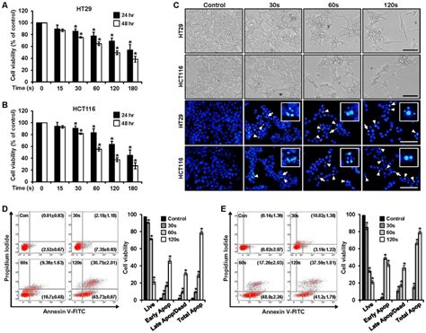 Ab Cell Viability In Plasma Treated Ht29 And Hct116 Cells At 15