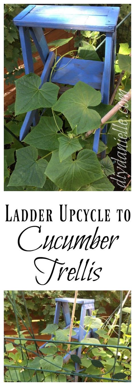 23 Functional Cucumber Trellis Ideas Guaranteed To Boost Your Harvest