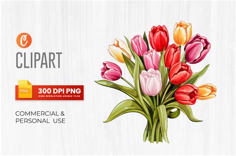 Watercolor Tulips Flowers Clipart Bundle Graphic By Crafticy Creative