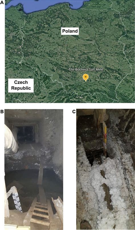 A The location of the Bochnia Salt Mine on the map of Poland. Examples... | Download Scientific ...