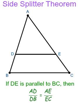 What Is The Side Splitter Theorem Homework Study