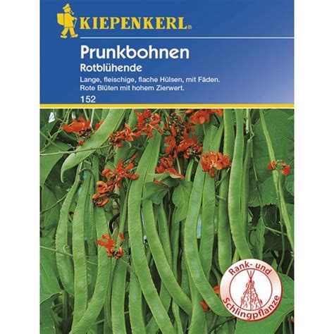 Kiepenkerl Runner Beans Red Flowering 1 Package Bloomling