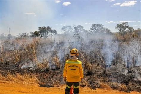 Brasil perdeu área maior do que o Acre para as queimadas em 2023