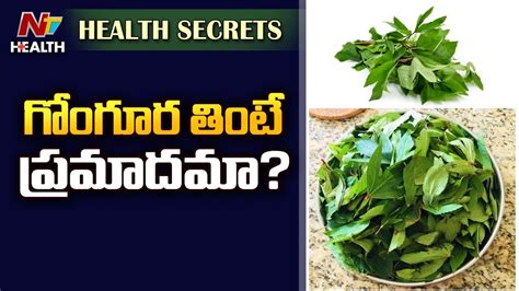 గోంగూర తింటే కిడ్నీల్లో రాళ్ళు వస్తాయా Health Benefits Of Gongura