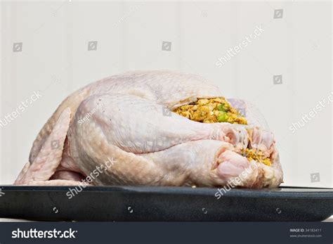 Uncooked Turkey Stuffed And Ready For The Oven. Stock Photo 34183411 ...