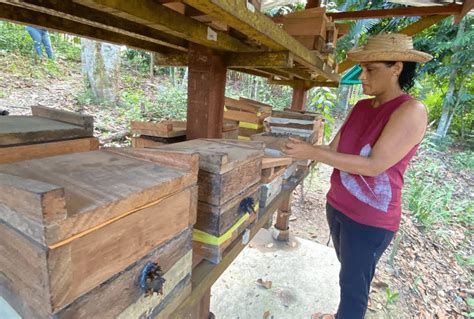 Prefeitura de Manaus destaca a importância da mulher no desenvolvimento