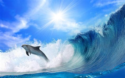 1600x1200 Dolphin, Sea, Splash, Jump wallpaper JPG - Coolwallpapers.me!