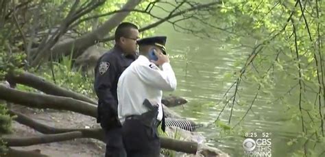 Two Bodies Found In Central Park Ponds In Two Days Cops Say Huffpost