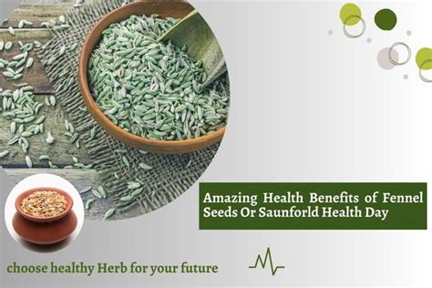 Top Health Benefits Of Eating Fennel Seeds Saunf