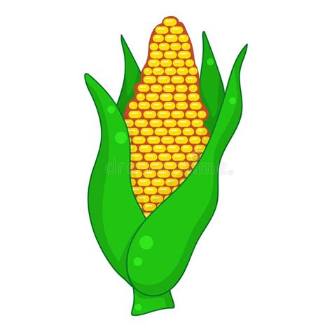 Corn Isolated Illustration Stock Vector Illustration Of Vector 161595464