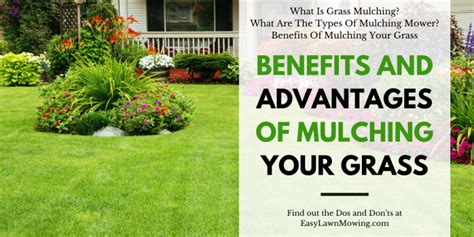 Benefits And Advantages Of Mulching Your Grass A Comprehensive Guide