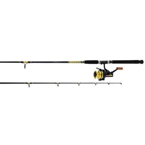 Daiwa Bg30bg661mlrs Bg System Saltwater Spinning Combo