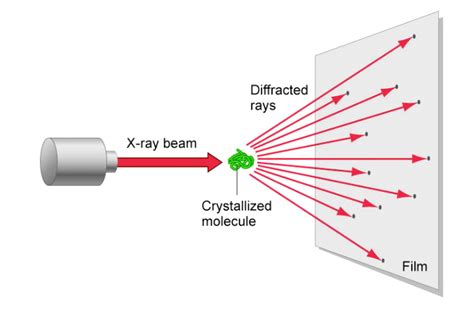 17 Astounding Facts About X-ray Crystallography - Facts.net