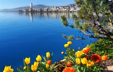 Wallpaper flowers, lake, Switzerland, Switzerland, Lake Geneva, Montreux, Lake Geneva, Montreux ...