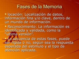 Memoria Ppt