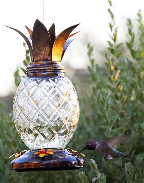 Best Hummingbirds Feeder In Cool Pineapple Design Rated With