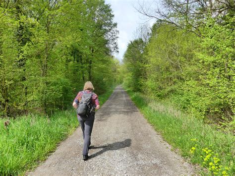 Wandelen In Duitsland X Mooie Duitse Wandelgebieden