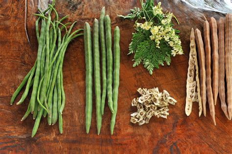 What crops will we be growing in the future, as climate change alters