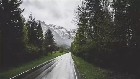 荆棘的道路荆棘荆棘大山谷图库