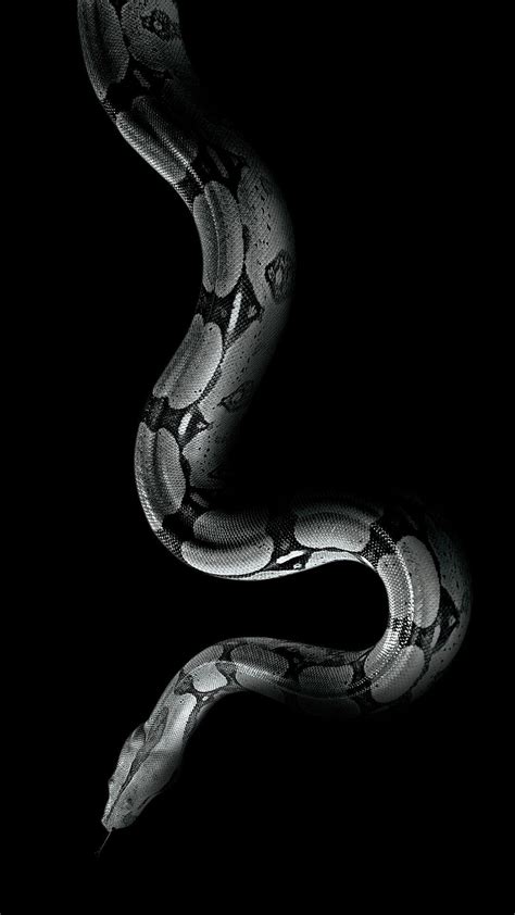 Snake Aesthetics Wallpapers Top Free Snake Aesthetics Backgrounds