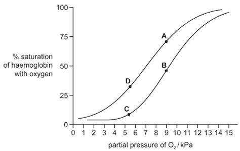 The Graph Shows The Dissociation Curves For Adult Haemoglobin At Two Diff