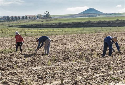 El desempleo en zonas rurales está en aumento CONtexto Ganadero