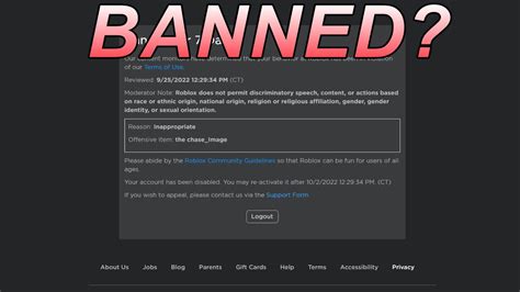 I Got BANNED On Roblox YouTube