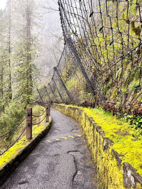 Multnomah Falls Trail - Olivia Michelle