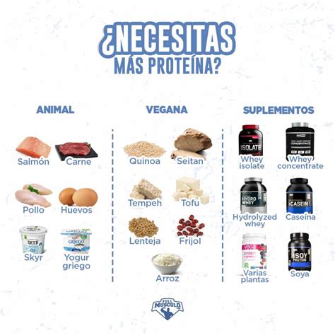 Proteína animal vs proteína vegetal te lo explicamos todo