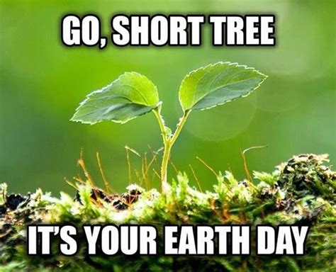 We Gonna Plant Trees Like Its Ya Earth Day Meme Guy