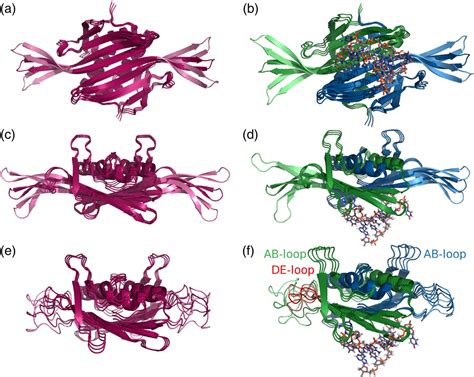 Figure From Dynamic Allostery Controls Coat Protein Conformer