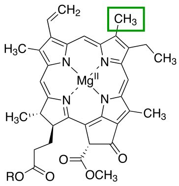 Difference Between Chlorophyll A and B | Definition, Characteristics ...