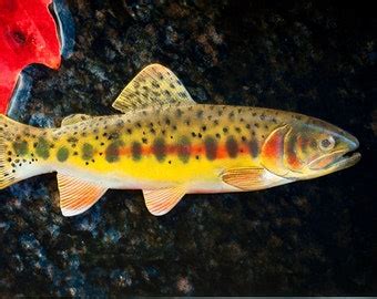 Rainbow Trout Sculpture Carved Fish Casting Flyfishing Etsy