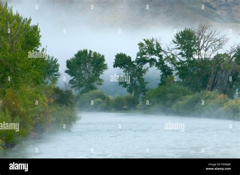 Fog Along Salmon River Salmon River Scenic Byway Deer Gulch Fishing