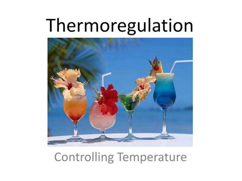 Ppt Thermoregulation Powerpoint Presentation Free Download Id 472302