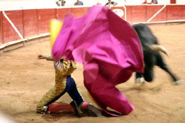 Ganaderos Lidia Unidos Toros Y Toreros Toros De Lidia Toros