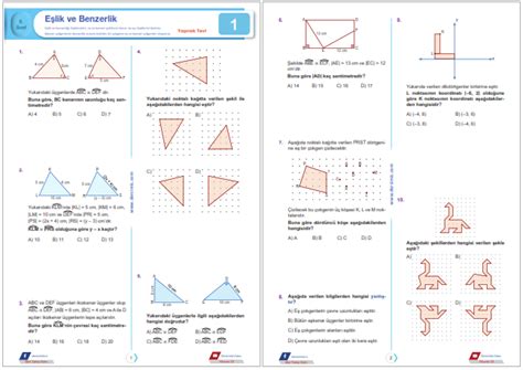 S N F E Lik Ve Benzerlik Yaprak Test