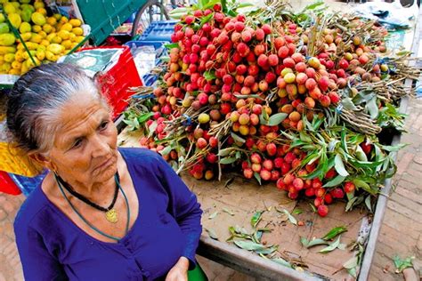 Lists Of Most Common Fruits Of Nepal Nepali English