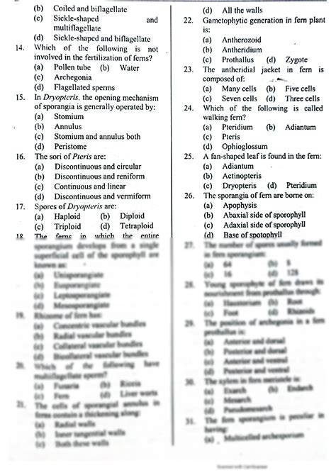 SOLUTION Mcqs On Fern With Answers Pdf Pteridophytes Mcq With Answers