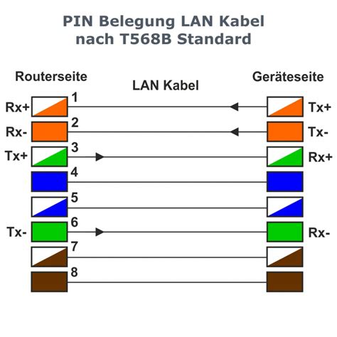 L TEK Telekommunikation RJ45 Stecker Werkzeuglos