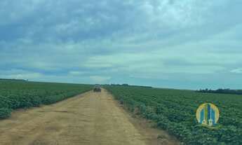 Fazenda Venda Em Ipiranga Do Norte Mt Mgf Im Veis Mgf Im Veis