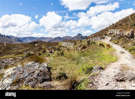 Hiking Footpath Through The Paramo In Cajas National Park Toreadora