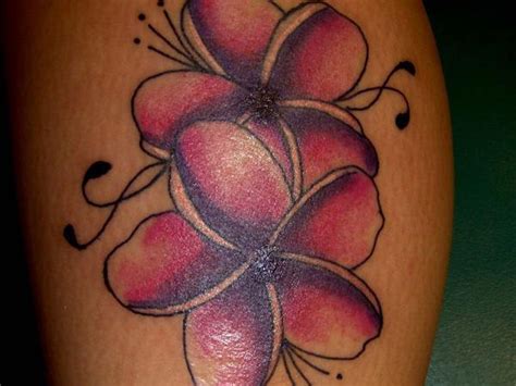 Plumeria Tattoos Designs, Ideas and Meaning | Tattoos For You