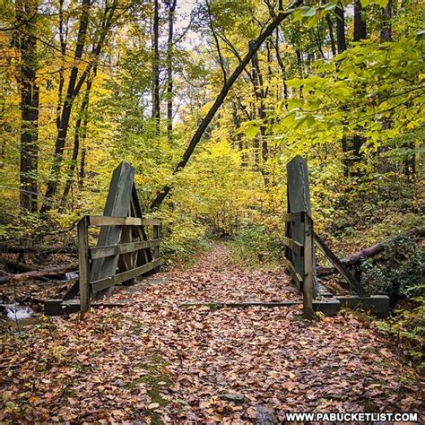 9 Must See Attractions In The Forbes State Forest