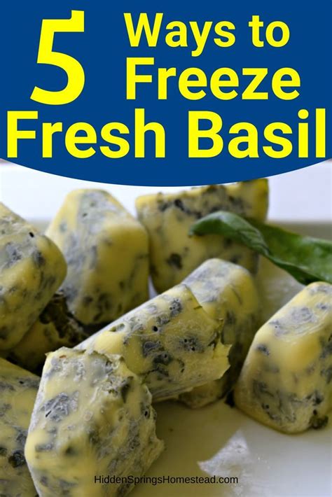 5 Ways To Freeze Fresh Basil For Year Round Use Artofit