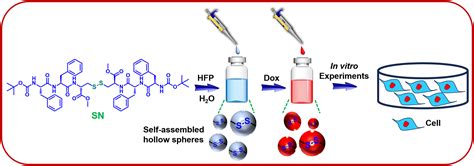 Cystine Cored Diphenylalanine Appended Peptide Based Self Assembled