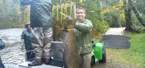 Actively Involved In Bc Salmon Enhancement Campbell River Guided