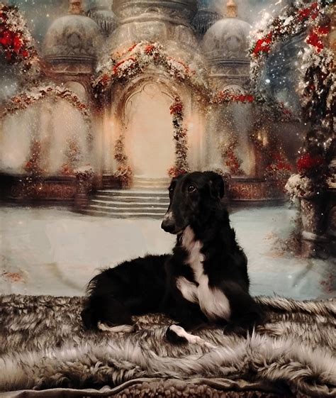 44 Kalmykova Three Broomsticks And The Leaky Cauldron ideas in 2025