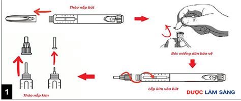 Hướng Dẫn Sử Dụng Bút Tiêm Insulin