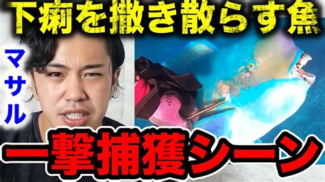 下痢を撒き散らす強面の巨大魚を一撃で仕留めるマサル【素潜り漁師マサル 切り抜き サバイバル Masaru 寄生虫 コラボ ワニ 無人島イソマグロ シガテラ ニキ 肉 青い 魚突き ナマコ 釣り